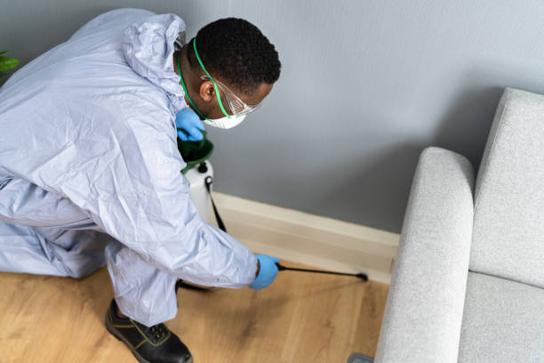 Real Estate Pest Inspections in Eidson Road, TX